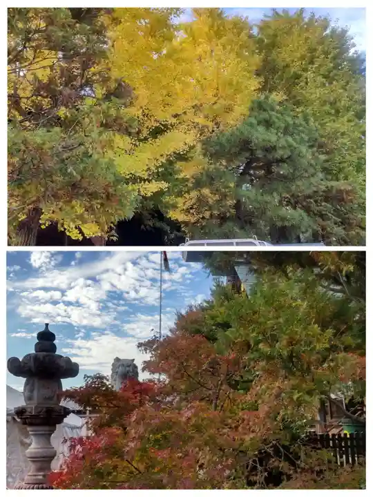 鷲神社(東京都)