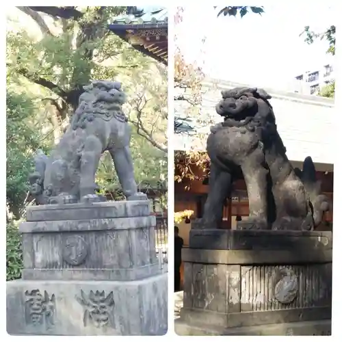 根津神社の狛犬