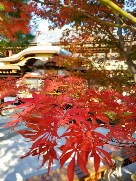 瀧泉寺(目黒不動尊)(東京都)