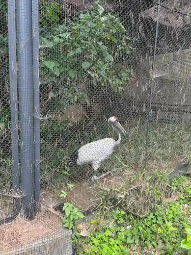 武蔵一宮氷川神社(埼玉県)