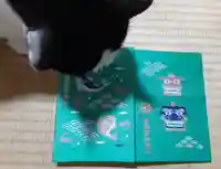 波除神社(波除稲荷神社)(東京都)