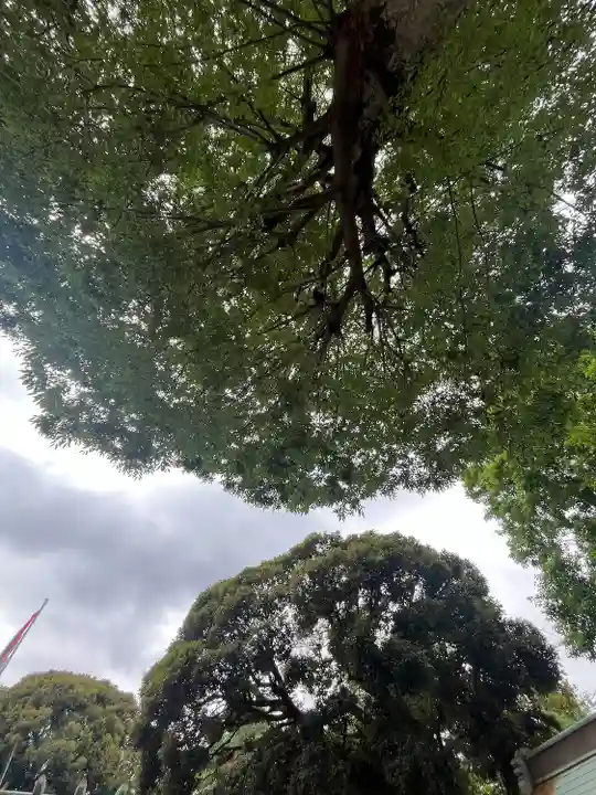 深澤神社(東京都)