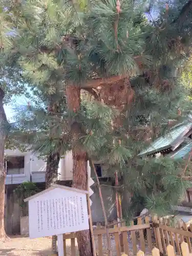 安久美神戸神明社(愛知県)