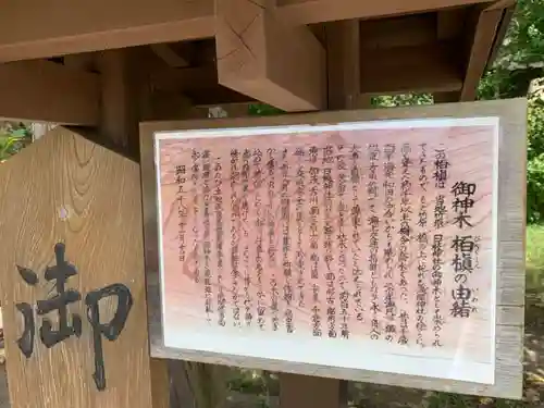 日枝神社の歴史