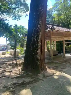 生立八幡宮(福岡県)