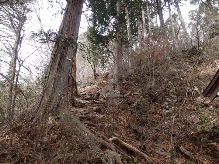 武蔵御嶽神社奥の院の自然