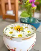 伊達神社の手水舎