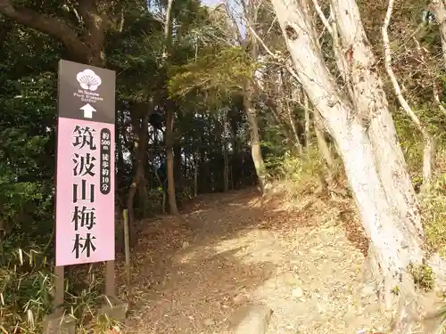 筑波山神社(茨城県)