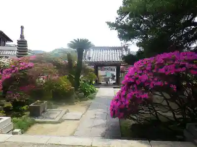 安養院　(田代寺）のその他建物