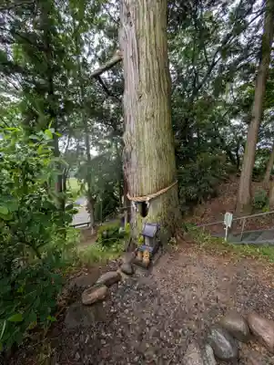 阿久津「田村神社」（郡山市阿久津町）旧社名：伊豆箱根三嶋三社(福島県)