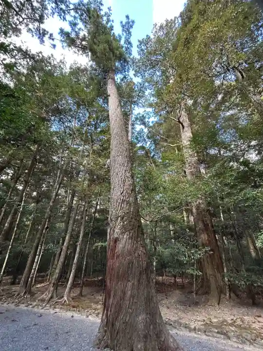 瀧原宮(皇大神宮別宮)(三重県)