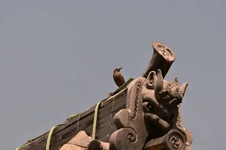 祥雲寺(愛媛県)