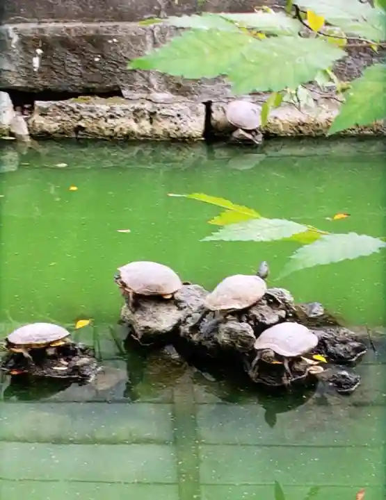 磐井神社(東京都)