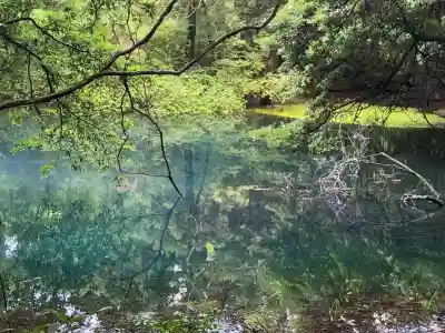 丸池神社(山形県)