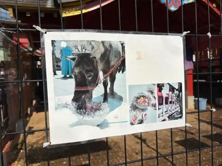 神田神社(神田明神)の{uncategorized: "未分類", other: "その他", undefined: "問題あり", building: "その他建物", grave: "お墓", sacred_gate: "鳥居", guardian: "狛犬", statue: "像", buddha: "仏像", history: "歴史", nature: "自然", garden: "庭園", animal: "動物", pagoda: "塔", temizu: "手水舎", mountain_gate: "山門・神門", sanctuary: "本殿・本堂", subordinate: "末社・摂社", art: "芸術", scenery: "景色", jizo: "地蔵", ema: "絵馬", goshuin: "御朱印", omikuji: "おみくじ", items: "授与品その他", amulet: "お守り", goshuincho: "御朱印帳", eats: "食事", festival: "お祭り", votive_dance: "神楽", shichigosan: "七五三参", wedding: "結婚式", experience: "体験その他", initially: "初詣", around: "周辺", anti_infection: "感染症対策"}