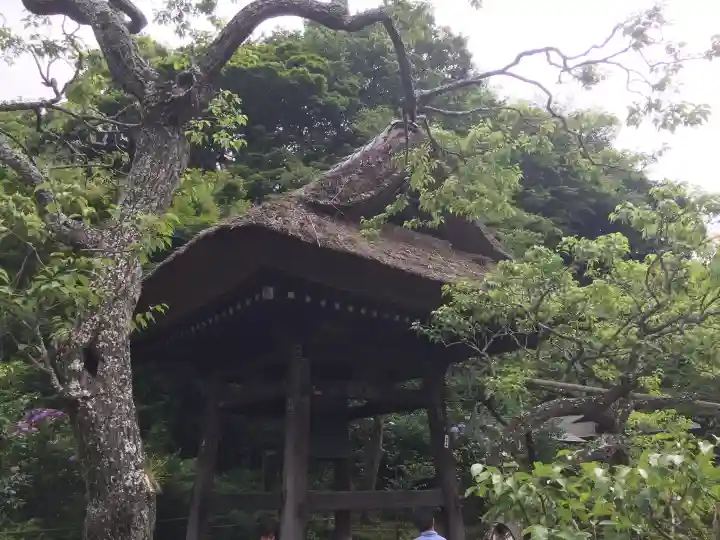 東慶寺の{uncategorized: "未分類", other: "その他", undefined: "問題あり", building: "その他建物", grave: "お墓", sacred_gate: "鳥居", guardian: "狛犬", statue: "像", buddha: "仏像", history: "歴史", nature: "自然", garden: "庭園", animal: "動物", pagoda: "塔", temizu: "手水舎", mountain_gate: "山門・神門", sanctuary: "本殿・本堂", subordinate: "末社・摂社", art: "芸術", scenery: "景色", jizo: "地蔵", ema: "絵馬", goshuin: "御朱印", omikuji: "おみくじ", items: "授与品その他", amulet: "お守り", goshuincho: "御朱印帳", eats: "食事", festival: "お祭り", votive_dance: "神楽", shichigosan: "七五三参", wedding: "結婚式", experience: "体験その他", initially: "初詣", around: "周辺", anti_infection: "感染症対策"}