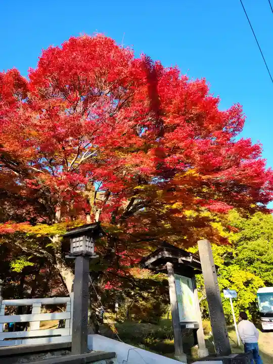 土津神社|こどもと出世の神さまの自然