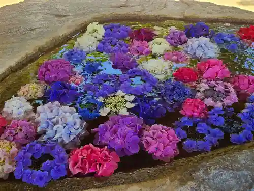 筥崎宮(福岡県)