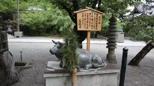 真龍寺(大阪府)