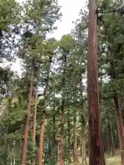 長者山新羅神社の周辺