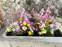 櫻神社の手水舎