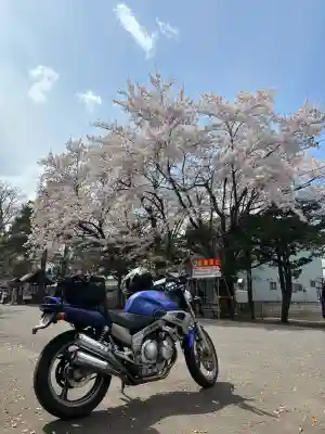 豊平神社の{uncategorized: "未分類", other: "その他", undefined: "問題あり", building: "その他建物", grave: "お墓", sacred_gate: "鳥居", guardian: "狛犬", statue: "像", buddha: "仏像", history: "歴史", nature: "自然", garden: "庭園", animal: "動物", pagoda: "塔", temizu: "手水舎", mountain_gate: "山門・神門", sanctuary: "本殿・本堂", subordinate: "末社・摂社", art: "芸術", scenery: "景色", jizo: "地蔵", ema: "絵馬", goshuin: "御朱印", omikuji: "おみくじ", items: "授与品その他", amulet: "お守り", goshuincho: "御朱印帳", eats: "食事", festival: "お祭り", votive_dance: "神楽", shichigosan: "七五三参", wedding: "結婚式", experience: "体験その他", initially: "初詣", around: "周辺", anti_infection: "感染症対策"}