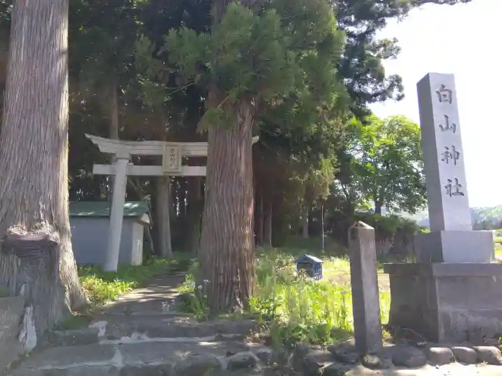 白山神社の{uncategorized: "未分類", other: "その他", undefined: "問題あり", building: "その他建物", grave: "お墓", sacred_gate: "鳥居", guardian: "狛犬", statue: "像", buddha: "仏像", history: "歴史", nature: "自然", garden: "庭園", animal: "動物", pagoda: "塔", temizu: "手水舎", mountain_gate: "山門・神門", sanctuary: "本殿・本堂", subordinate: "末社・摂社", art: "芸術", scenery: "景色", jizo: "地蔵", ema: "絵馬", goshuin: "御朱印", omikuji: "おみくじ", items: "授与品その他", amulet: "お守り", goshuincho: "御朱印帳", eats: "食事", festival: "お祭り", votive_dance: "神楽", shichigosan: "七五三参", wedding: "結婚式", experience: "体験その他", initially: "初詣", around: "周辺", anti_infection: "感染症対策"}