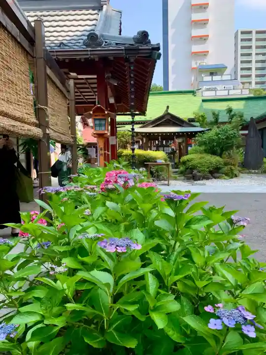 仙台大神宮の自然