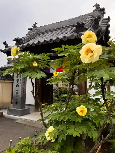 真言宗　善通寺派　薬王寺(香川県)