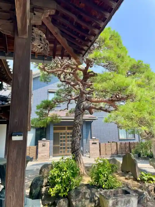 円明寺(静岡県)