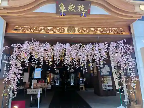 万松寺の{uncategorized: "未分類", other: "その他", undefined: "問題あり", building: "その他建物", grave: "お墓", sacred_gate: "鳥居", guardian: "狛犬", statue: "像", buddha: "仏像", history: "歴史", nature: "自然", garden: "庭園", animal: "動物", pagoda: "塔", temizu: "手水舎", mountain_gate: "山門・神門", sanctuary: "本殿・本堂", subordinate: "末社・摂社", art: "芸術", scenery: "景色", jizo: "地蔵", ema: "絵馬", goshuin: "御朱印", omikuji: "おみくじ", items: "授与品その他", amulet: "お守り", goshuincho: "御朱印帳", eats: "食事", festival: "お祭り", votive_dance: "神楽", shichigosan: "七五三参", wedding: "結婚式", experience: "体験その他", initially: "初詣", around: "周辺", anti_infection: "感染症対策"}