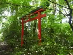 神徳稲荷神社の鳥居