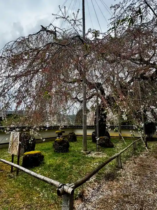 福徳寺(京都府)
