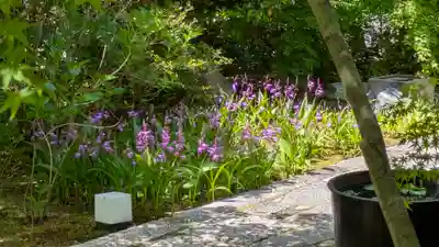 勝林寺(京都府)