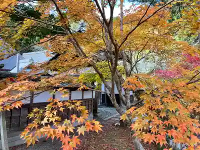龍穏寺の自然