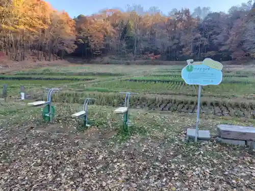 糀谷八幡宮(埼玉県)
