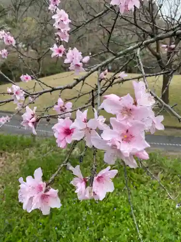 岩戸弘法弘峰寺の自然