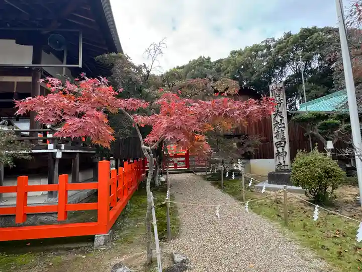 龍田大社(奈良県)