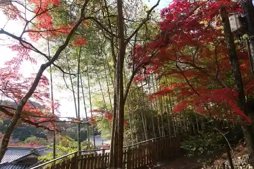 神峯山寺の自然