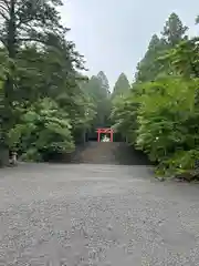 霧島神宮(鹿児島県)