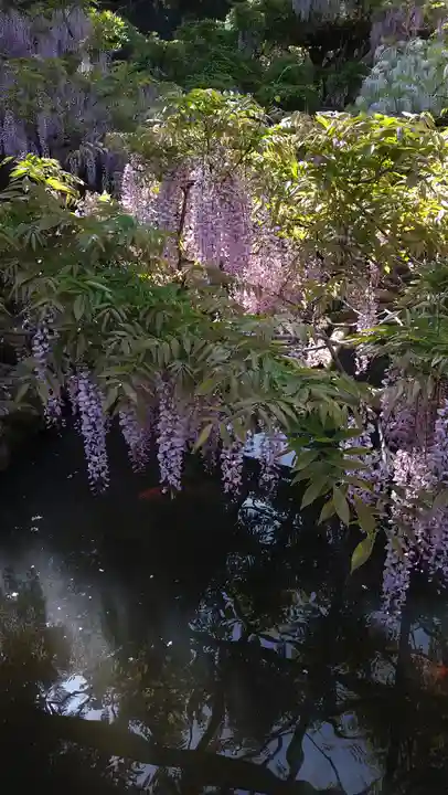 歌泉堂(春日大社神苑萬葉植物園内鎮座)(奈良県)