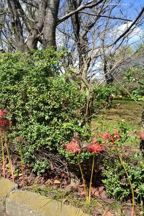 総持寺(神奈川県)