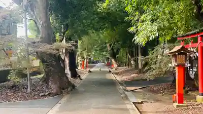 彌伽宜神社(京都府)