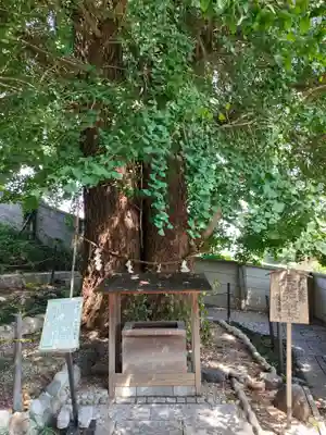 堤治神社の自然