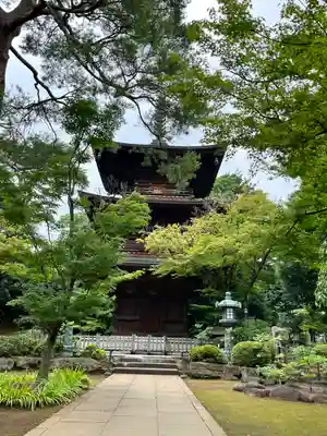 豪徳寺(東京都)