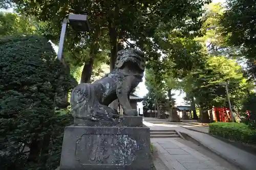 中野氷川神社の狛犬