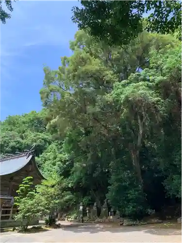 妻山神社の建物その他