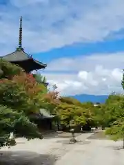 真正極楽寺（真如堂）(京都府)