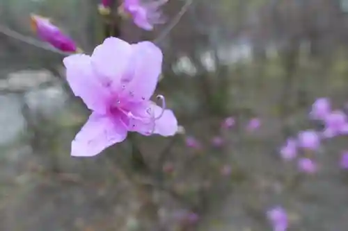 廣田神社の自然