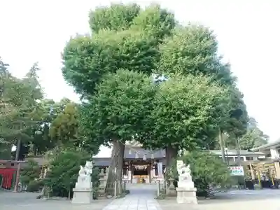 亀ケ池八幡宮のその他建物